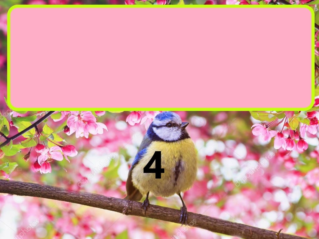 Картонена торта  ПРОЛЕТНИ ПТИЧКИ 1