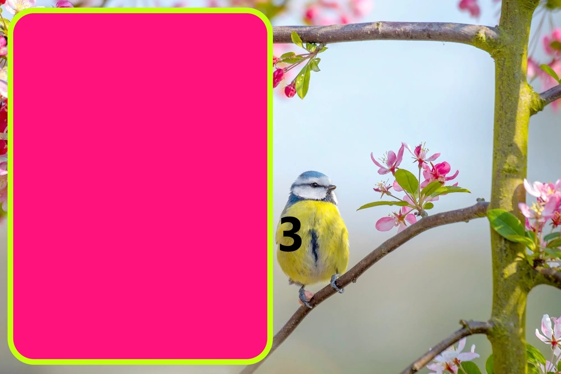 Картонена торта  ПРОЛЕТНИ ПТИЧКИ 1