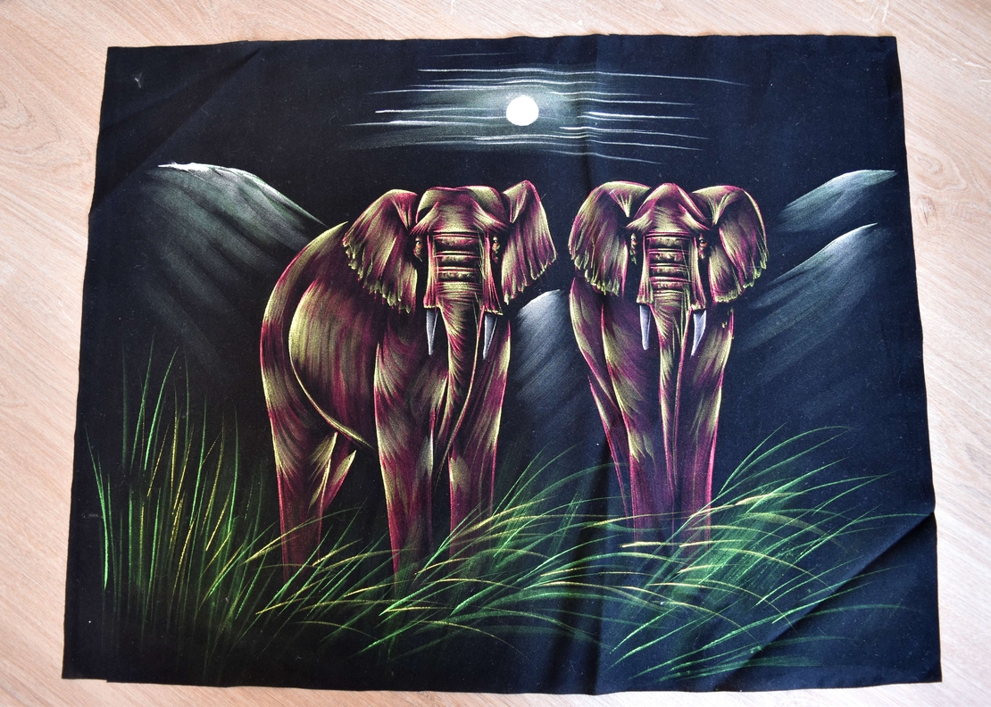 Hand Painted on black canvas 