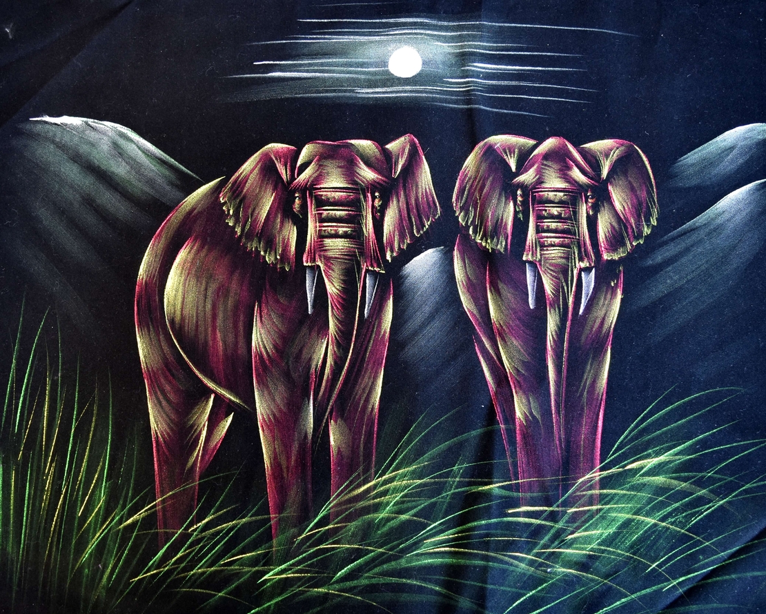 Hand Painted on black canvas 