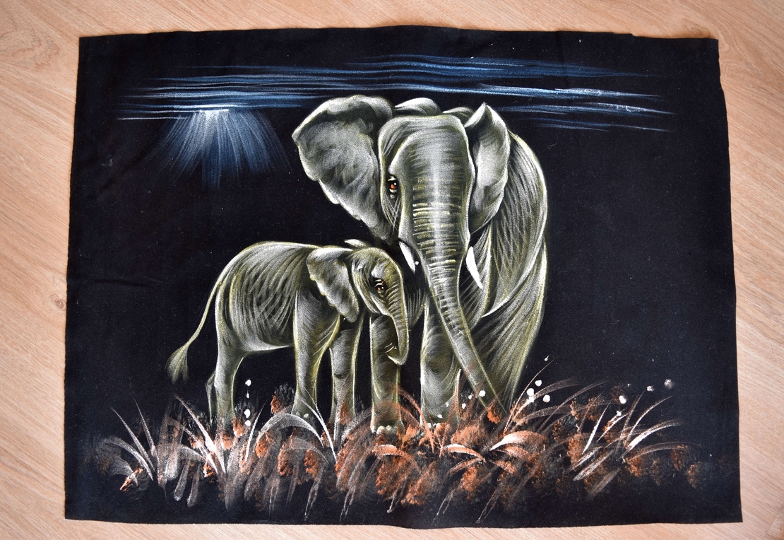 Hand Painted on black canvas 