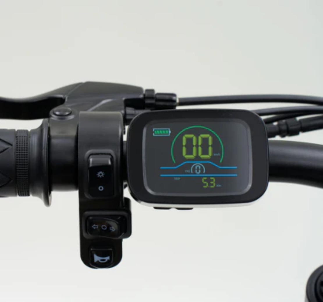 Електрически велосипед Riding Times Z8S