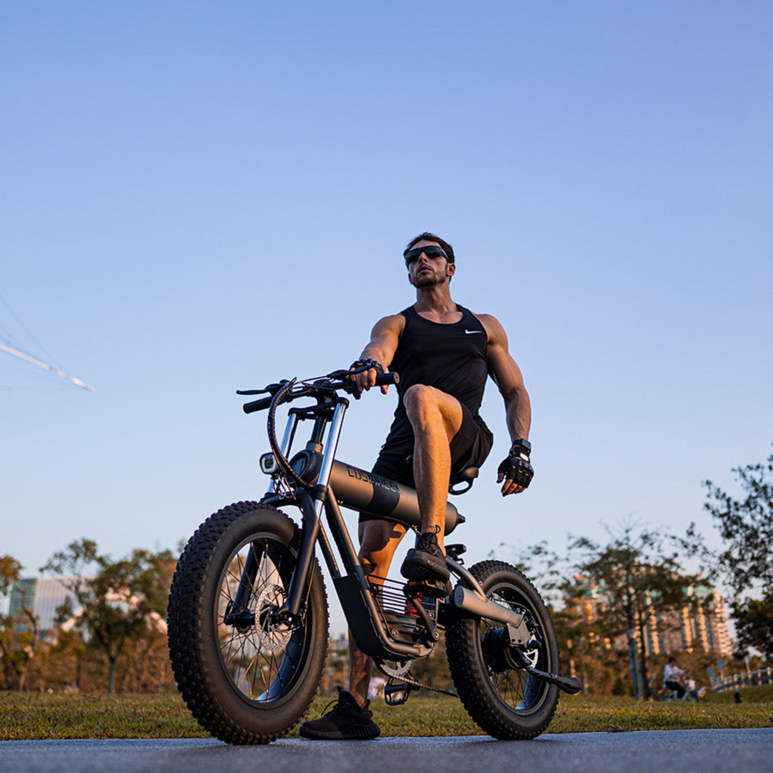 Електрически велосипед Coswheel T20