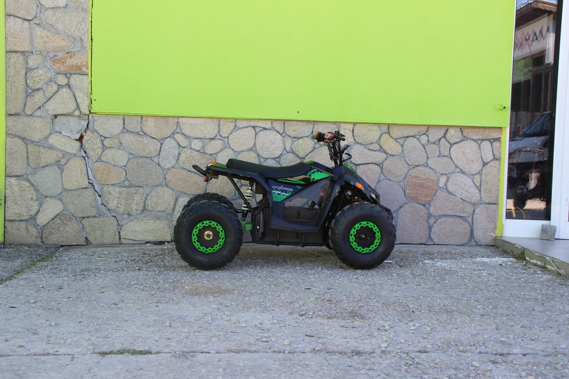 Eлектрическо ATV MaxMotors Mudhawk 1200W