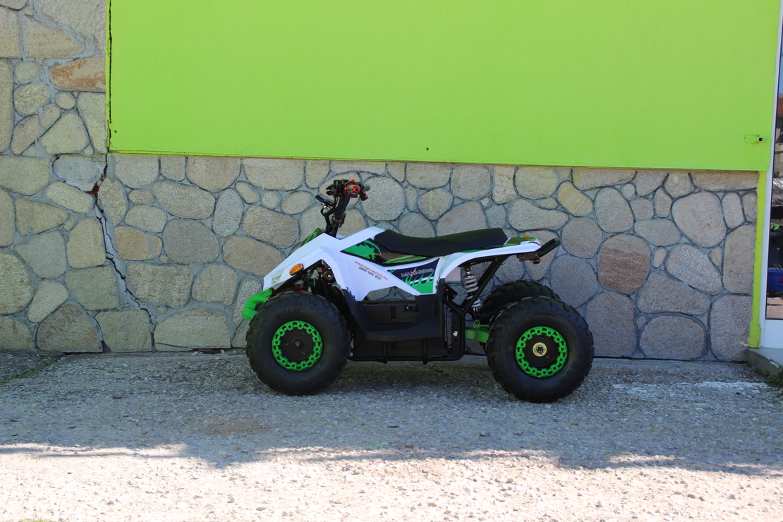 Eлектрическо ATV MaxMotors Mudhawk 1200W
