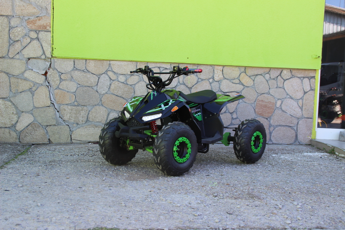 Eлектрическо ATV MaxMotors Mudhawk 1200W