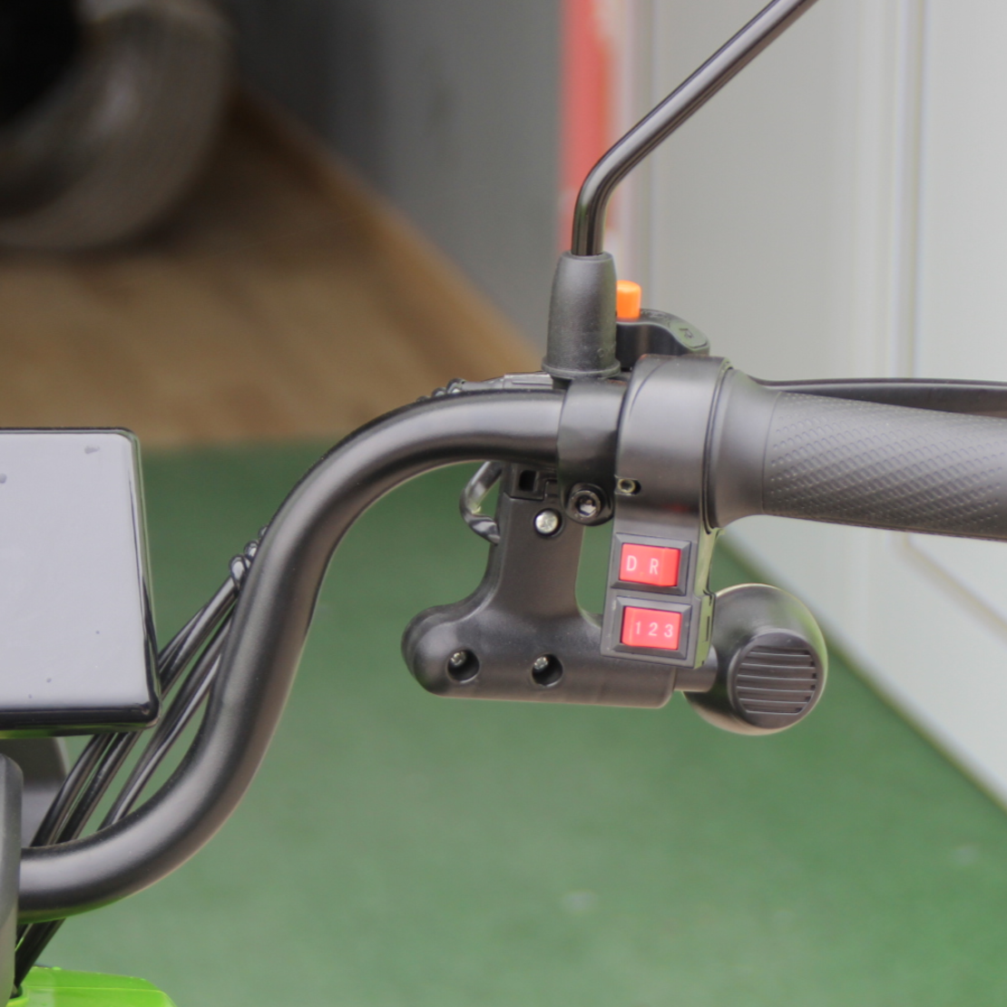 Двуместна електрическа триколка MaxMotors Pudding 1800W-48V-20Ah GREEN