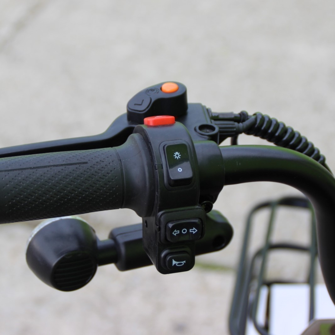 Двуместна електрическа триколка MAX MOTORS 1500W 20 AH