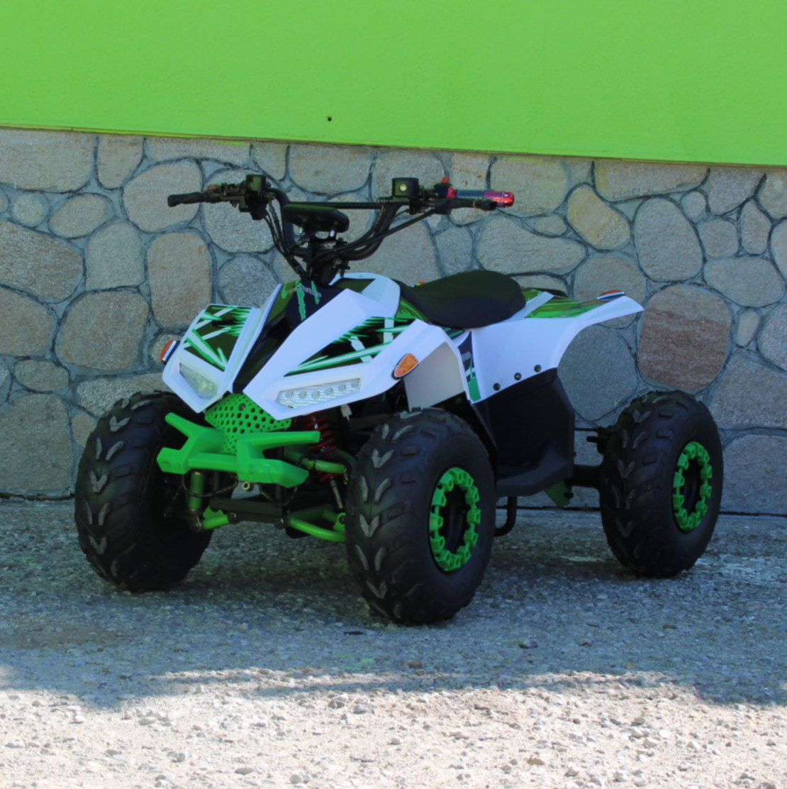 Eлектрическо ATV MaxMotors Mudhawk 1200W
