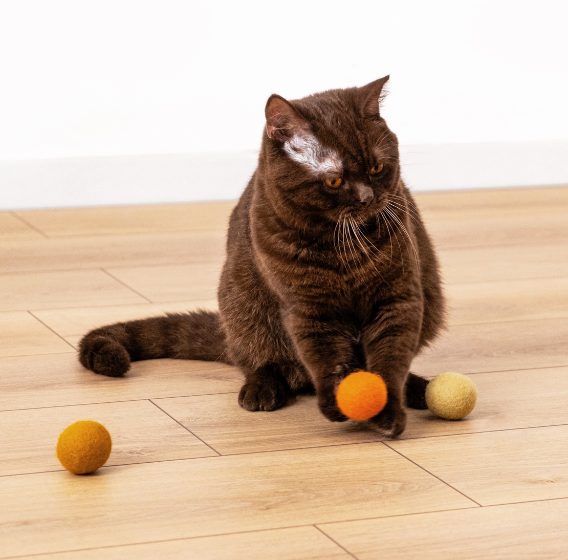 Ръчно изработени топчета за котки GINGER от новозеландска вълна