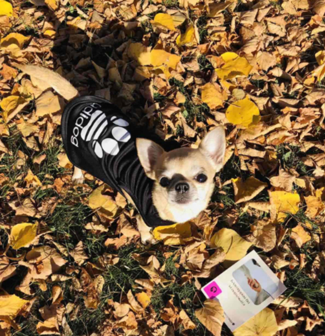 Дрешка Adidog