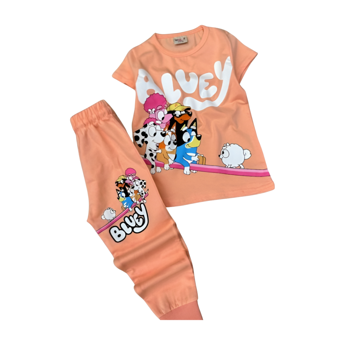 Комплект  Bluey