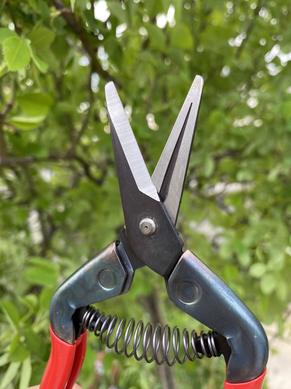 Ножица 175мм Chikamasa T-5C red