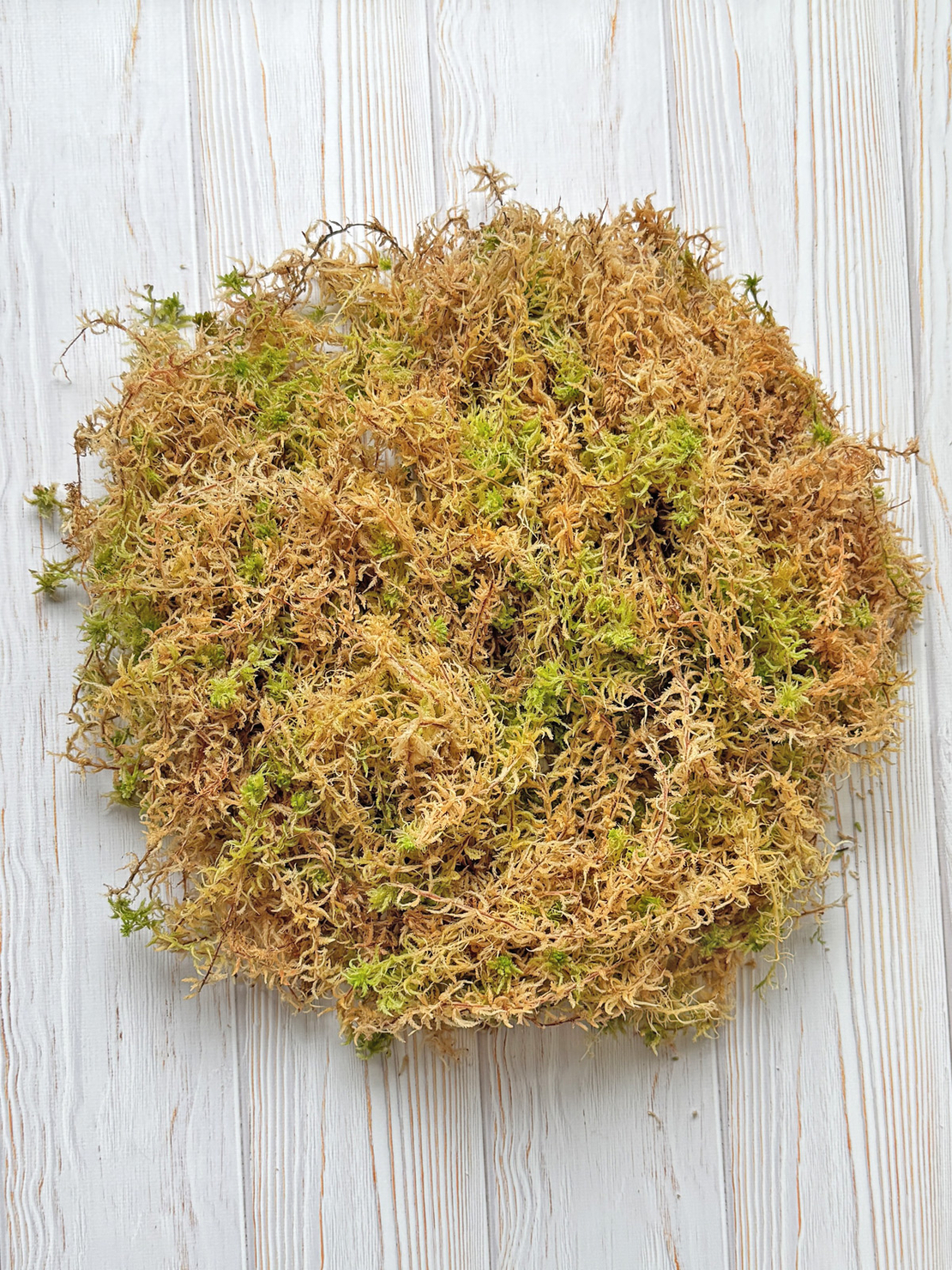 Премиум сфагнумов мъх