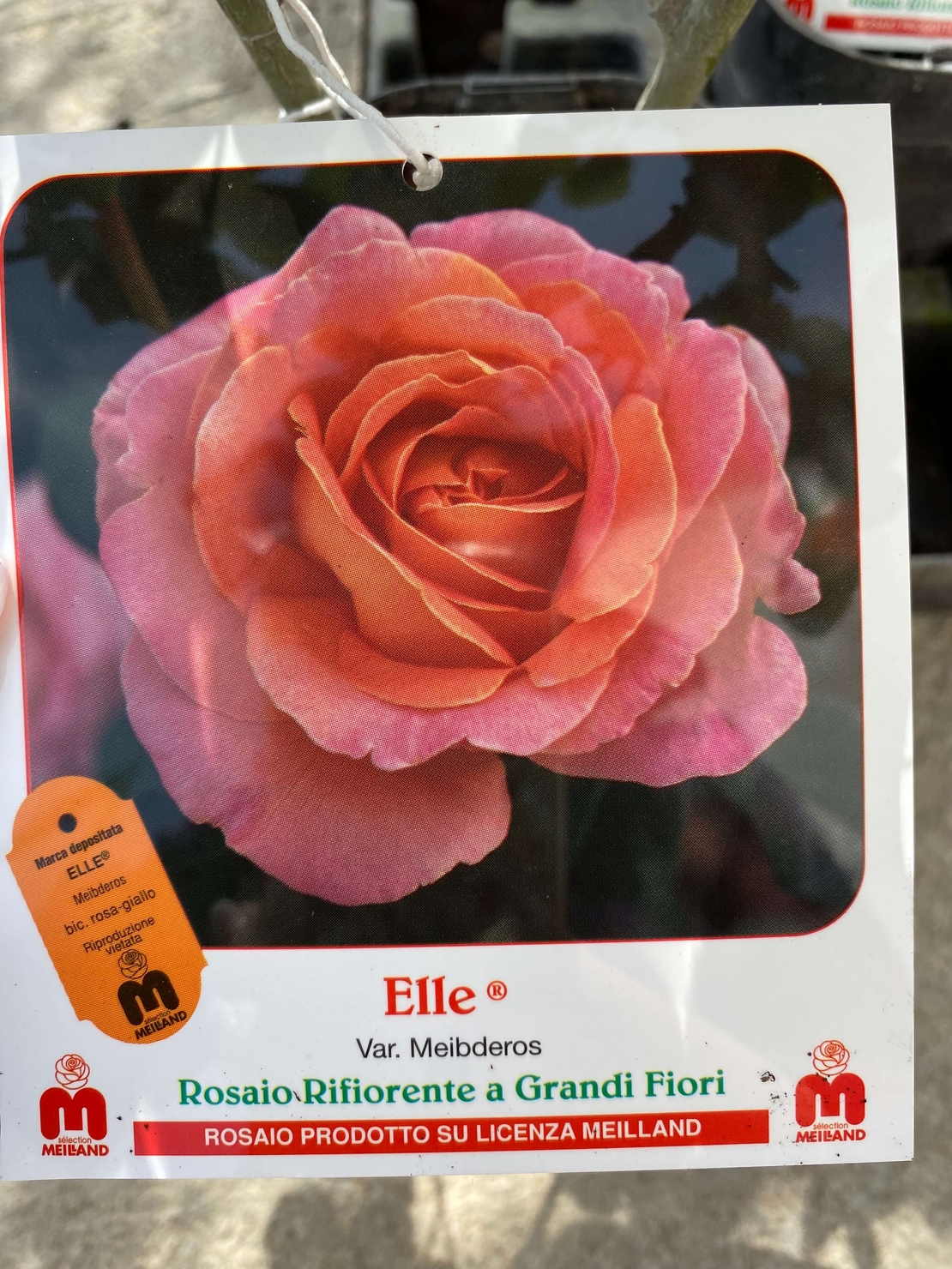 ELLE® Meibderos
