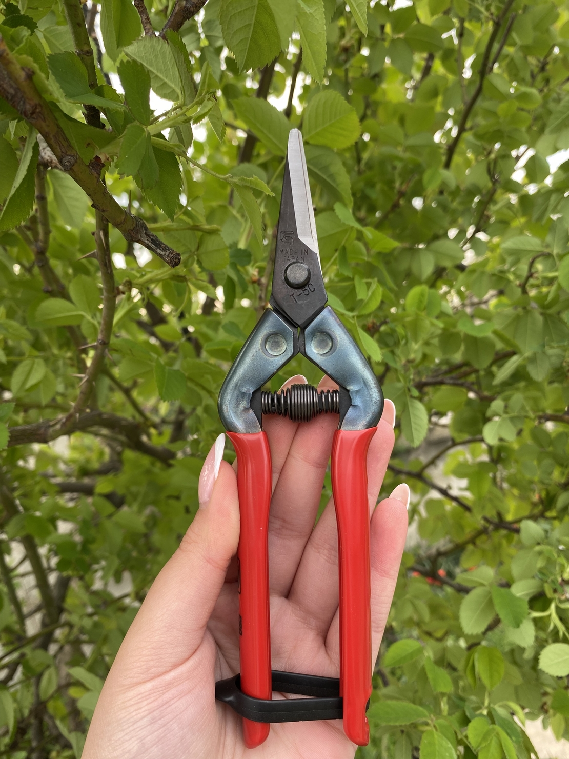 Ножица 175мм Chikamasa T-5C red