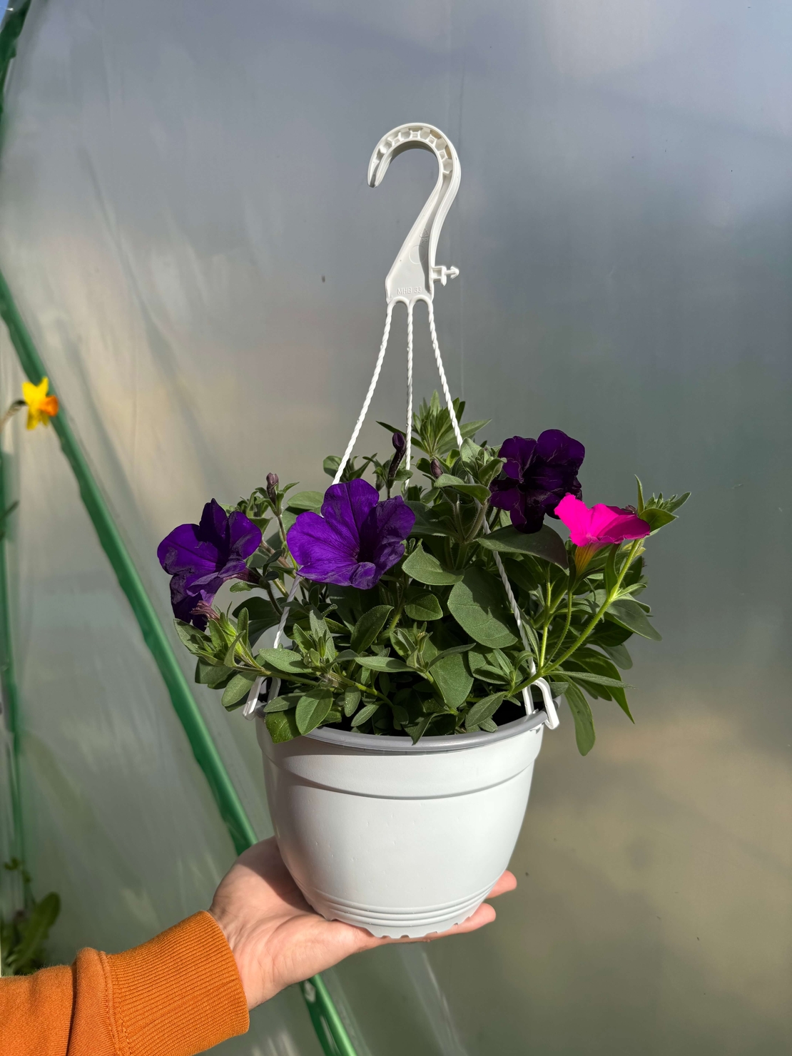 Петуния - тройка (The Power Sisters)