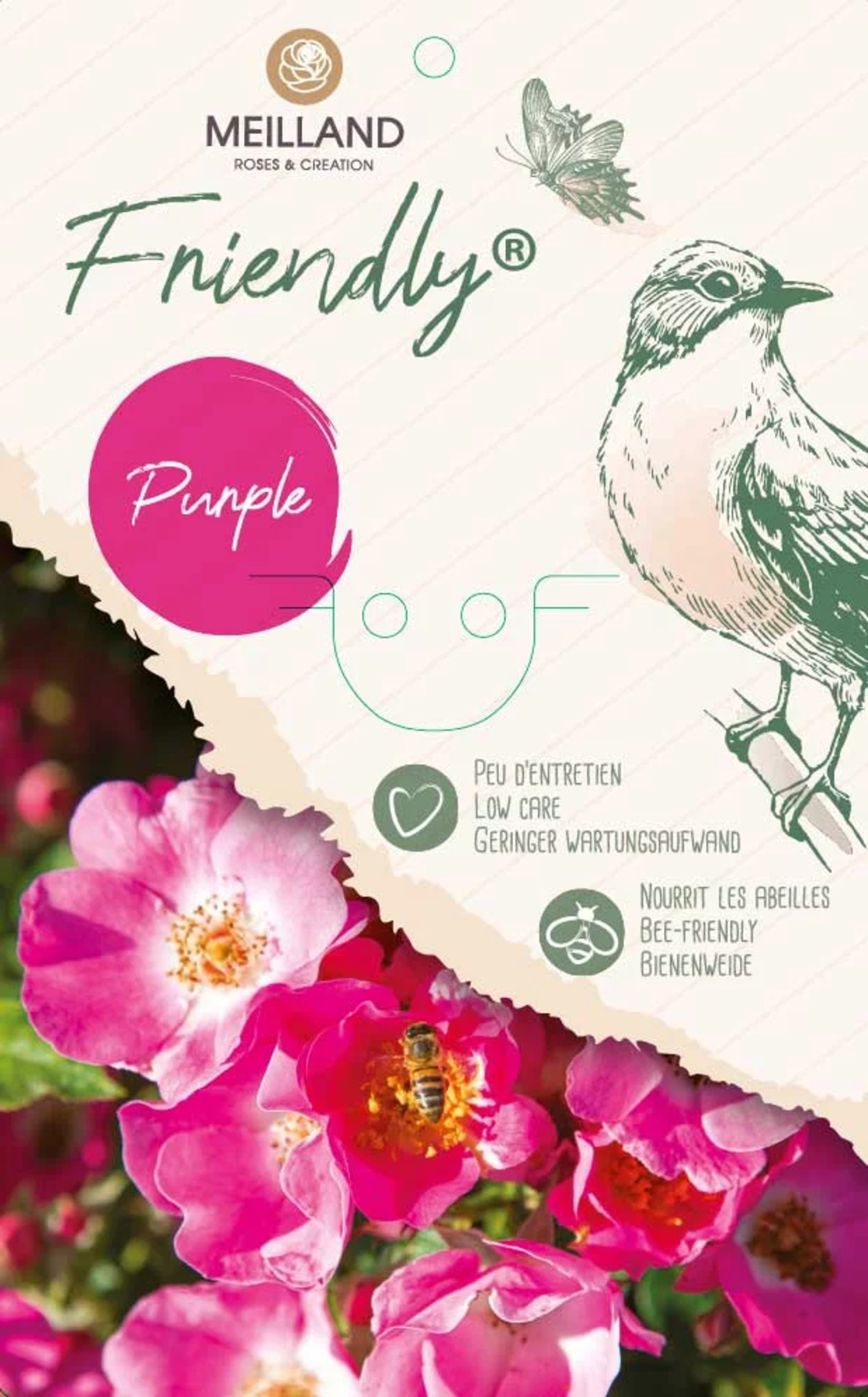 FRIENDLY ® Purple Meicosme