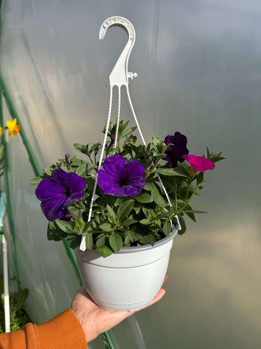 Петуния - тройка (The Power Sisters)