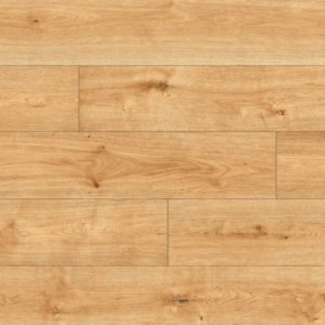 Pro Nature 63131 Camac