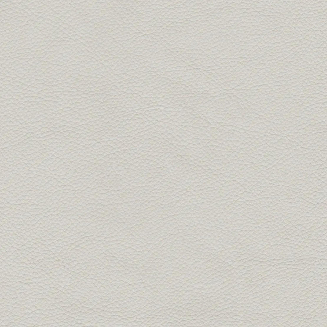Solid Color 3017