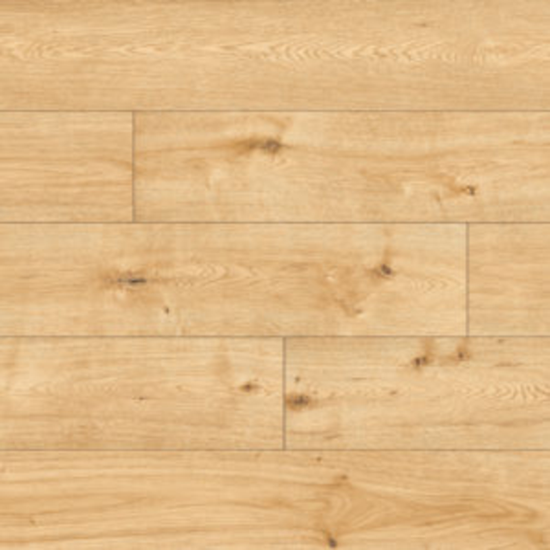 Pro Nature 63133 Dennett