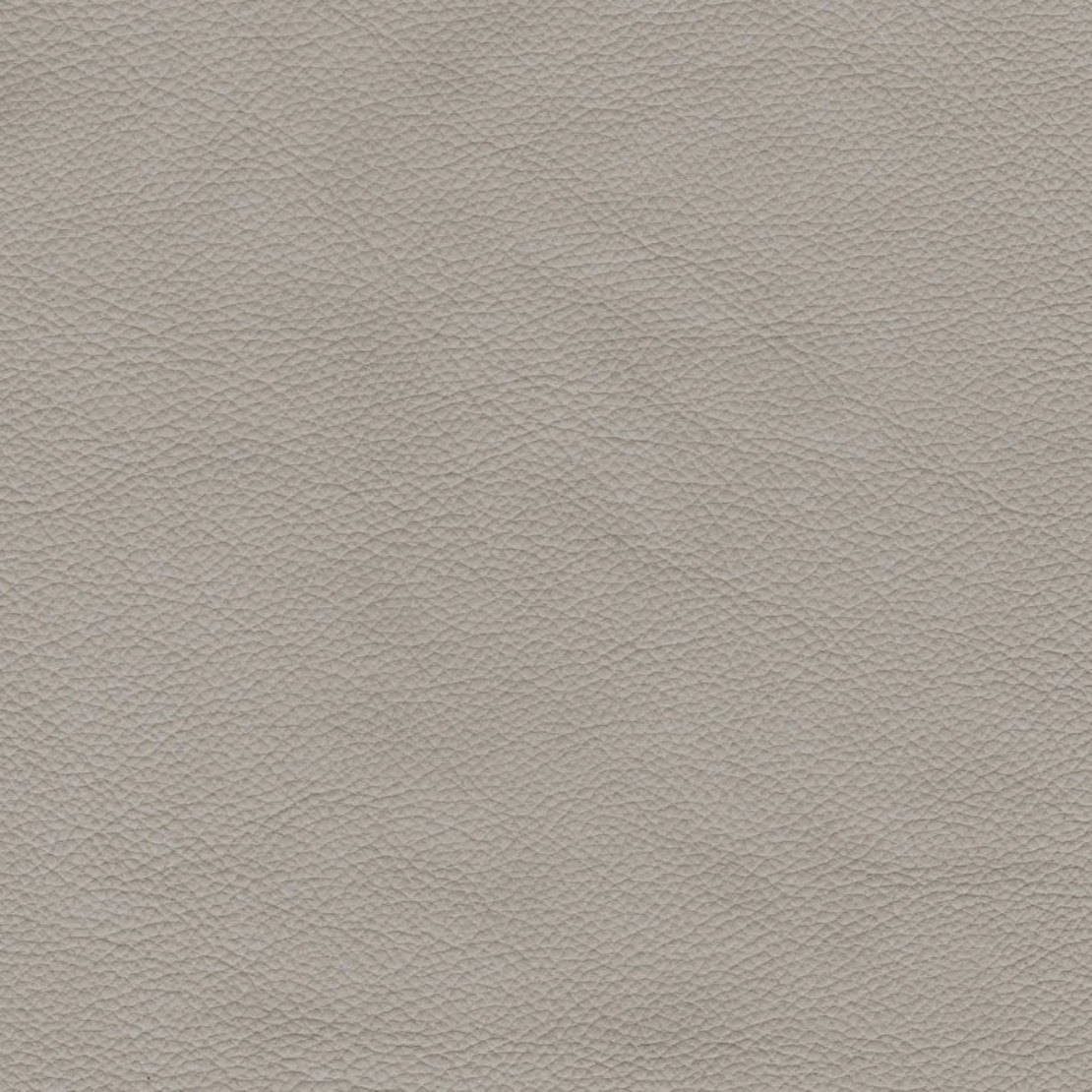 Solid Color 3018