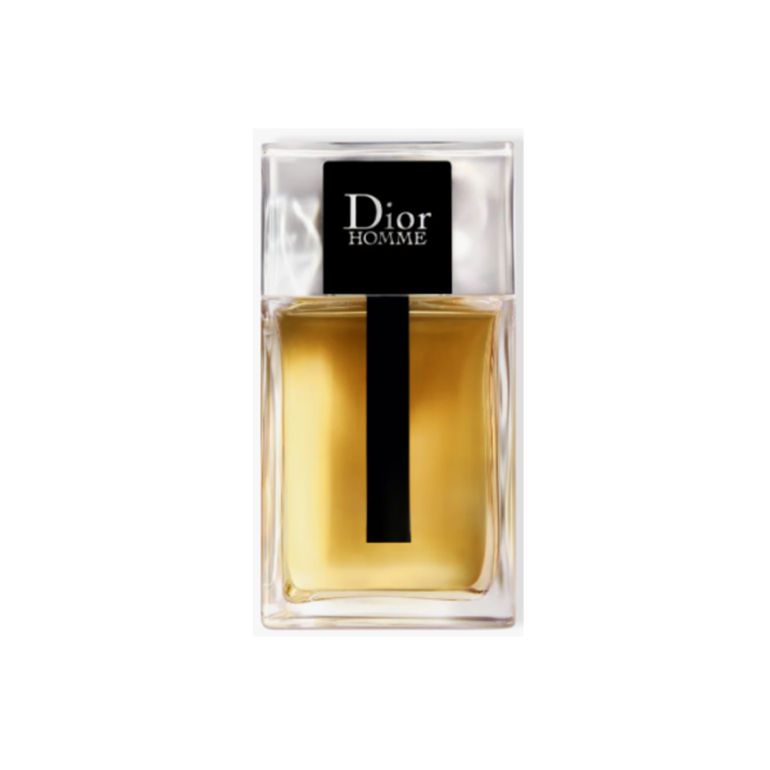 Dior Homme Eau de Toilette spray 100 ml