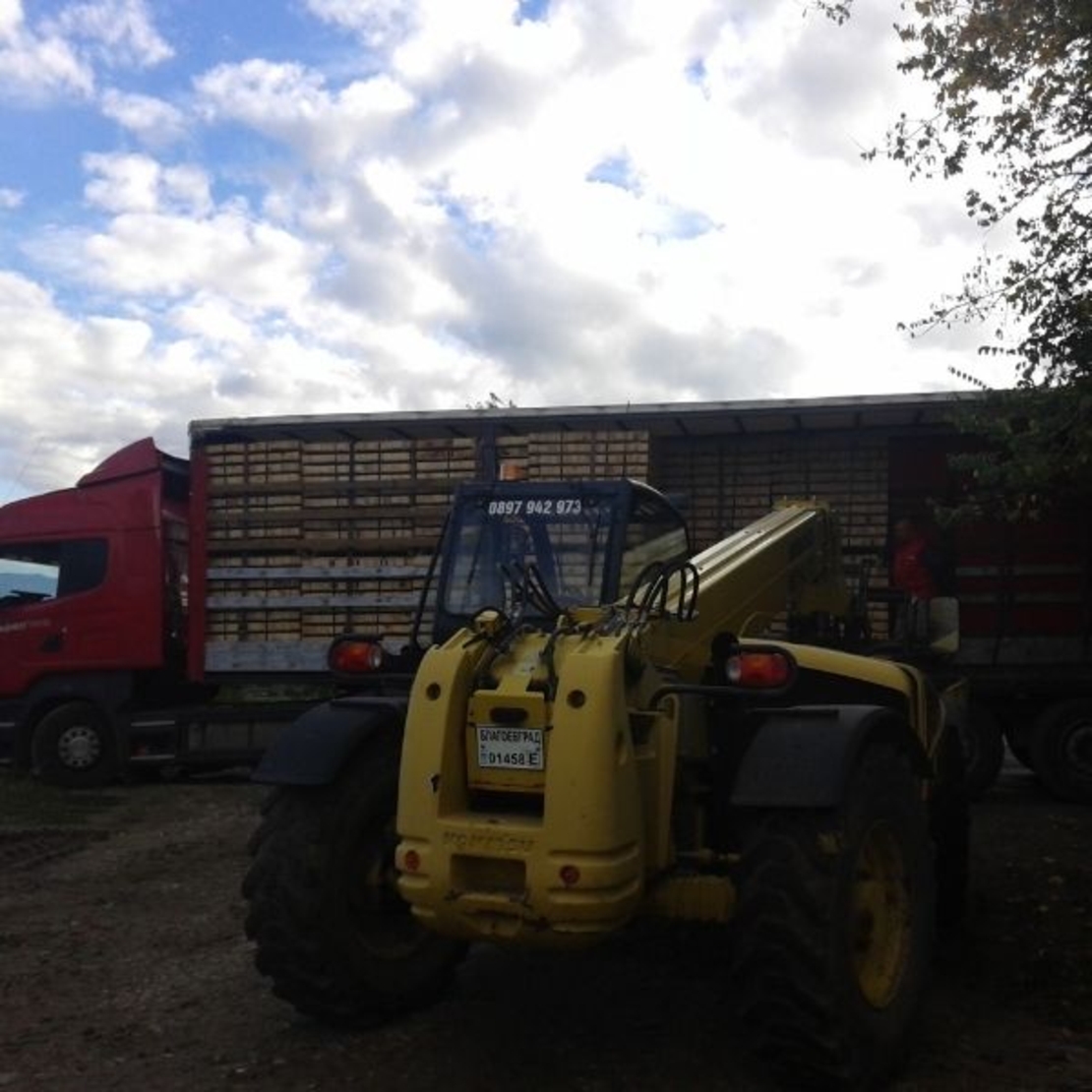 Дървен амбалаж за Белгия и Испания