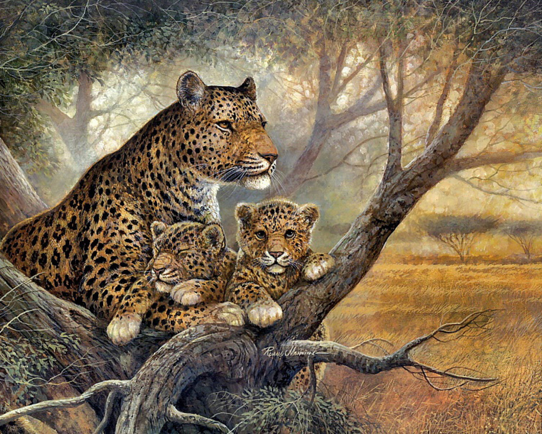 Картина по номера 40х50 см. - 30841