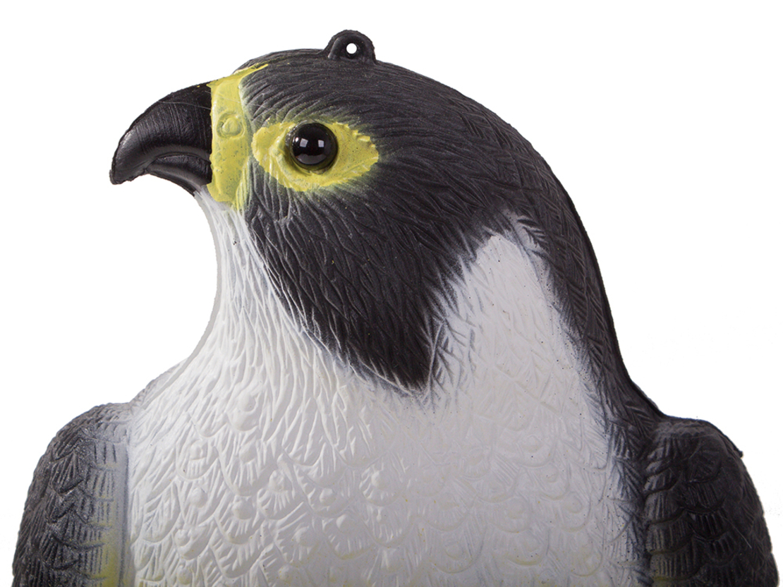 Птицегон Falcon на скорци гълъби и мишки