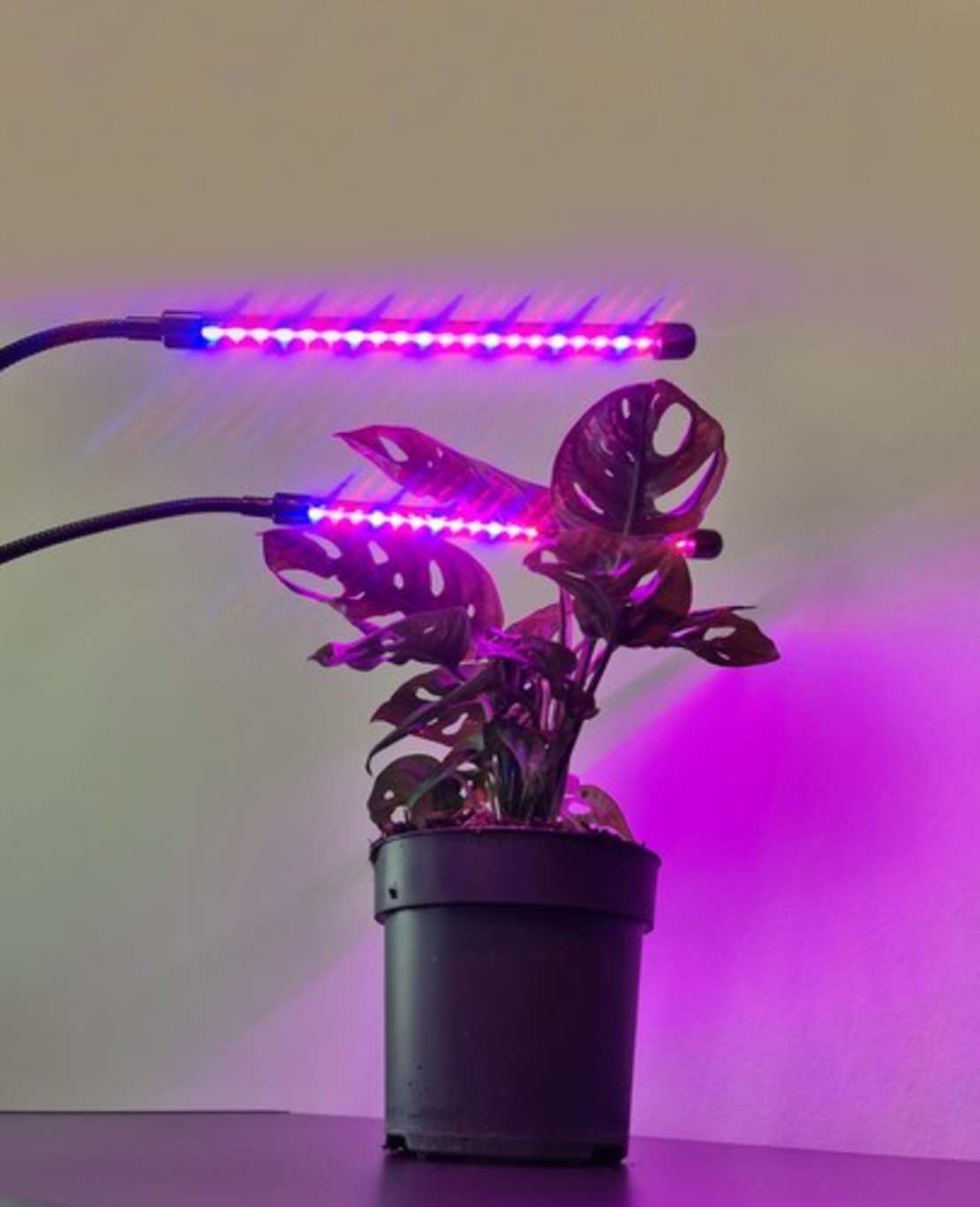 Лампа 20 LED 2 бр. за растежа на растенията Гардлов 19241