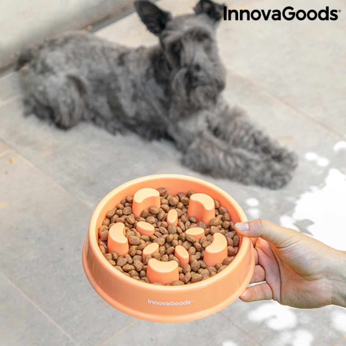 Хранилка за Бавно Хранене за Домашни Любимци Slowfi InnovaGoods
