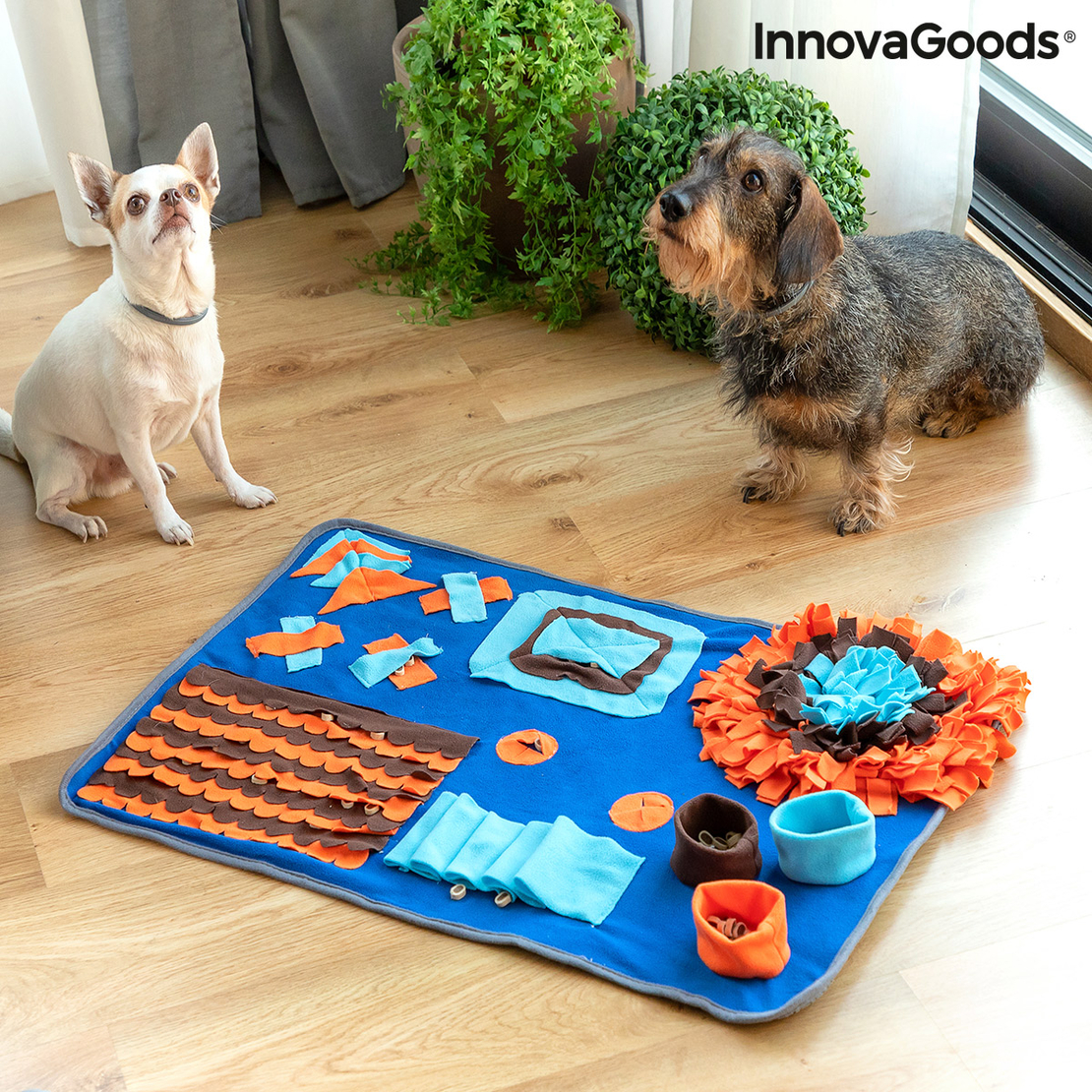 Обонятелен Килим за Домашни Любимци Foopark InnovaGoods