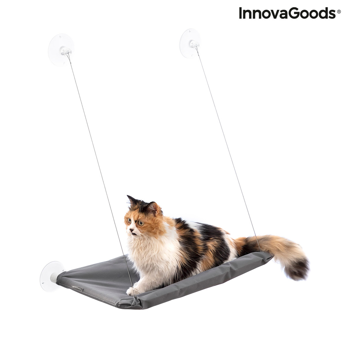 Висящ Хамак за Котки Catlax InnovaGoods
