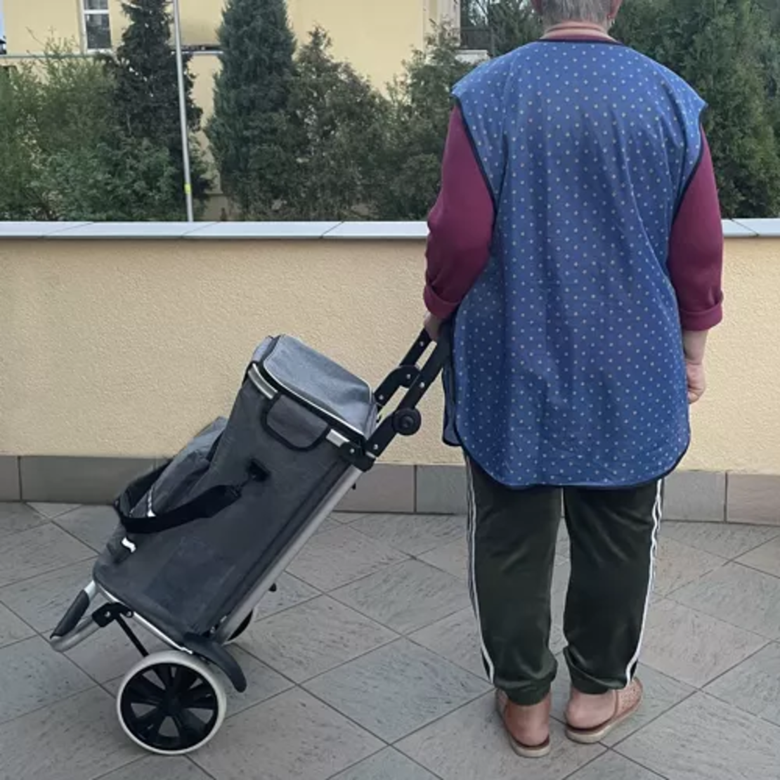 Сгъваема транспортна количка Gardlov 23187