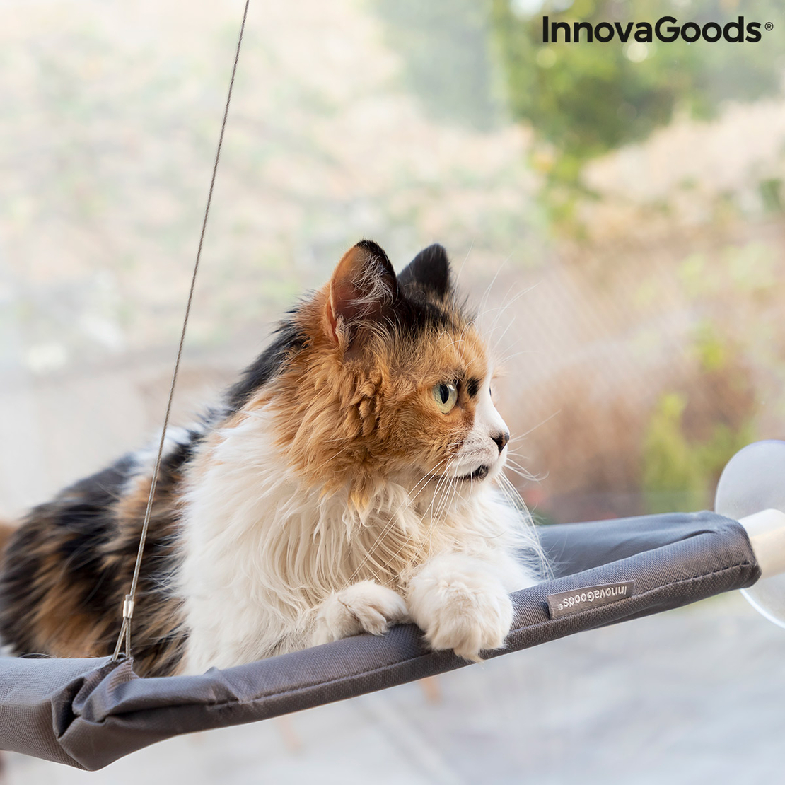 Висящ Хамак за Котки Catlax InnovaGoods