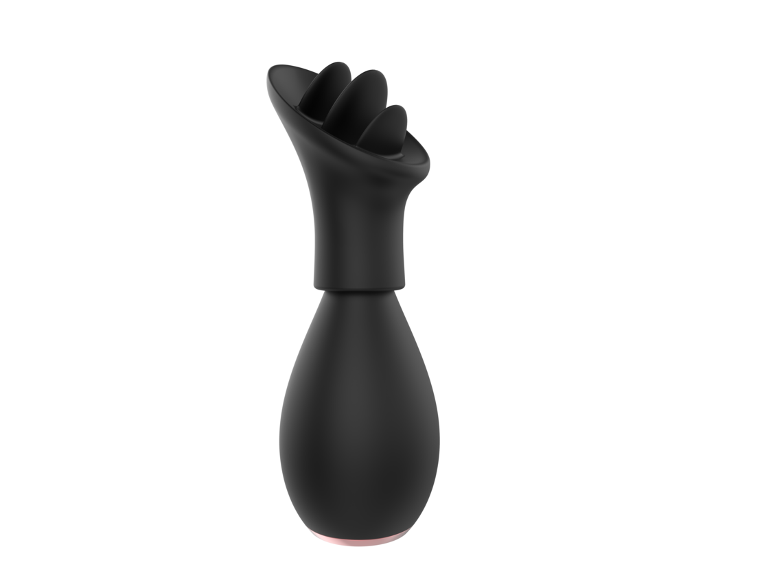 5-in-1 Multi-Functional Vibrator with 4 Interchangeable Caps – Vibrations and Massager for Women