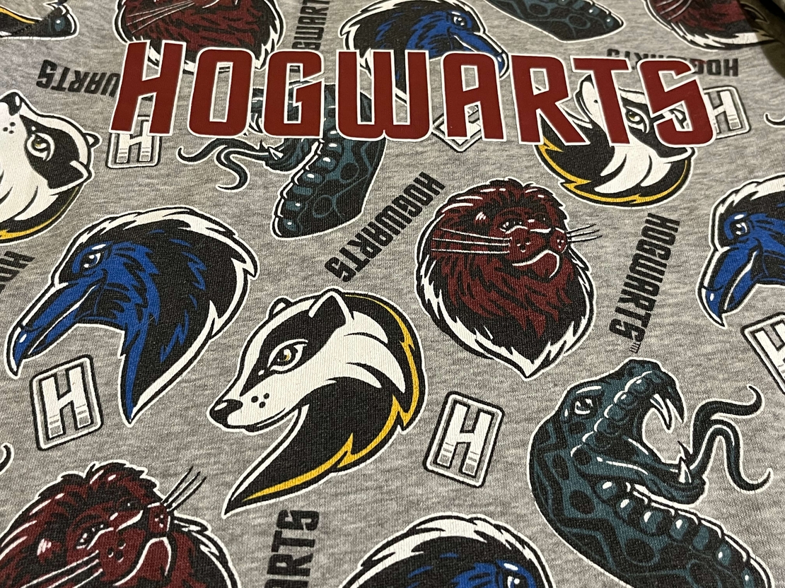Детска блуза с дълъг ръкав Harry Potter Hogwarts