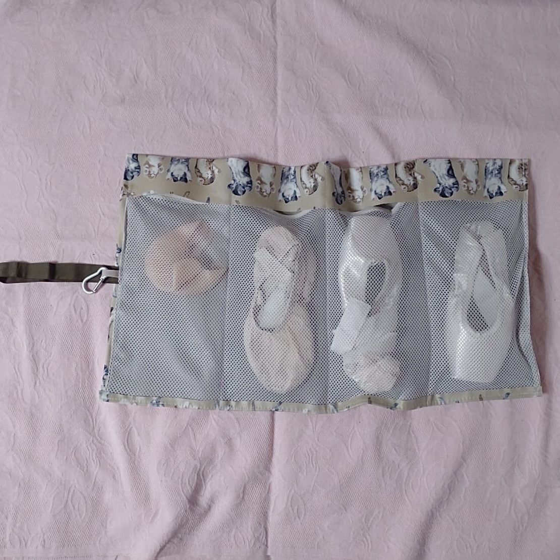 Pointe Shoes Case_Lazy Cat