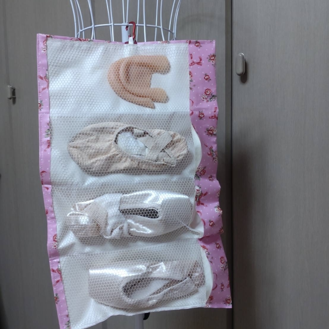 Pointe Shoes Case_Pink Roses