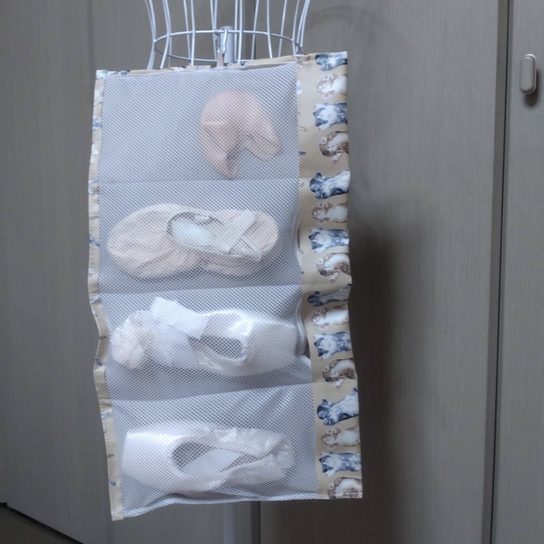 Pointe Shoes Case_Lazy Cat