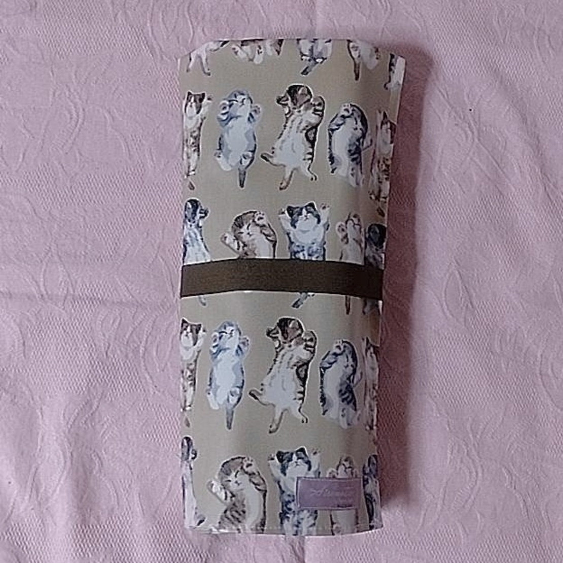 Pointe Shoes Case_Lazy Cat