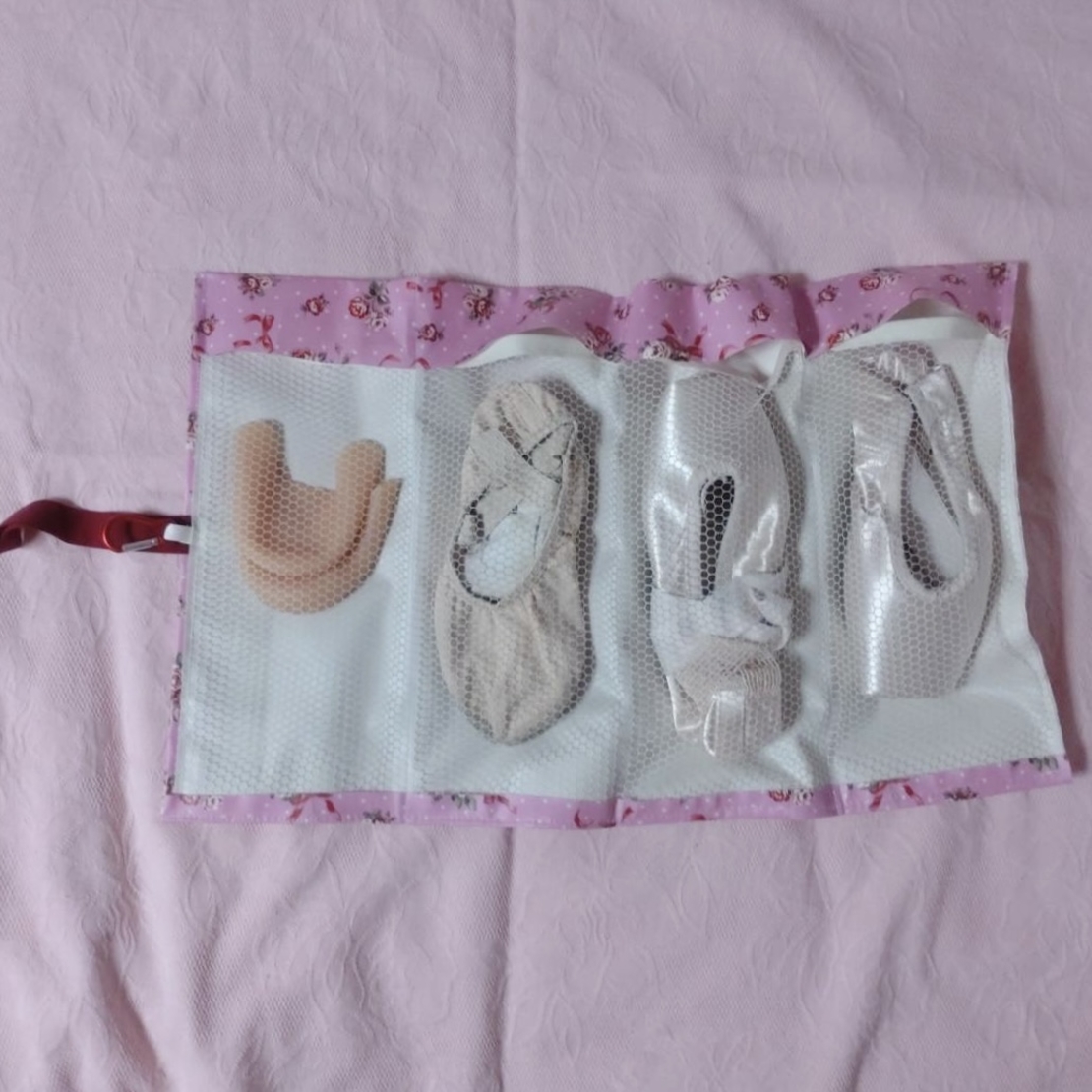 Pointe Shoes Case_Pink Roses