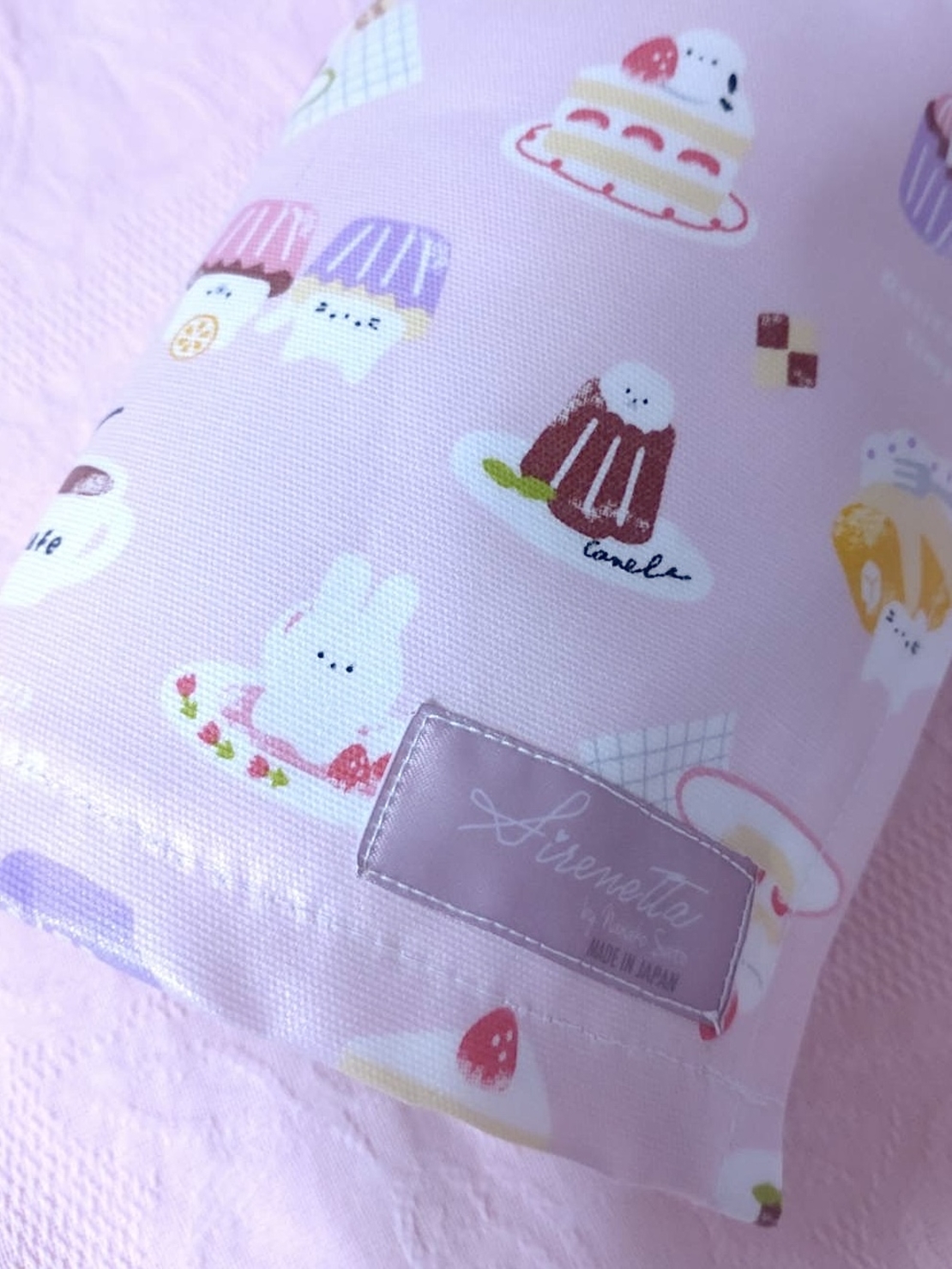 Pointe Shoes Case_Sweetie Cutie