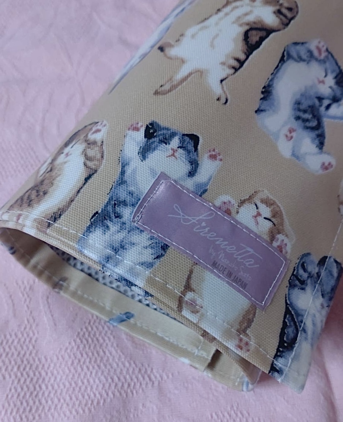 Pointe Shoes Case_Lazy Cat