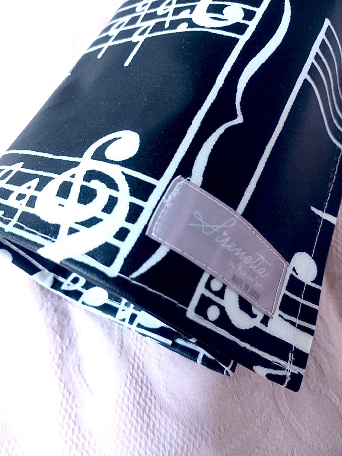 Pointe Shoes Case_Marching Notes