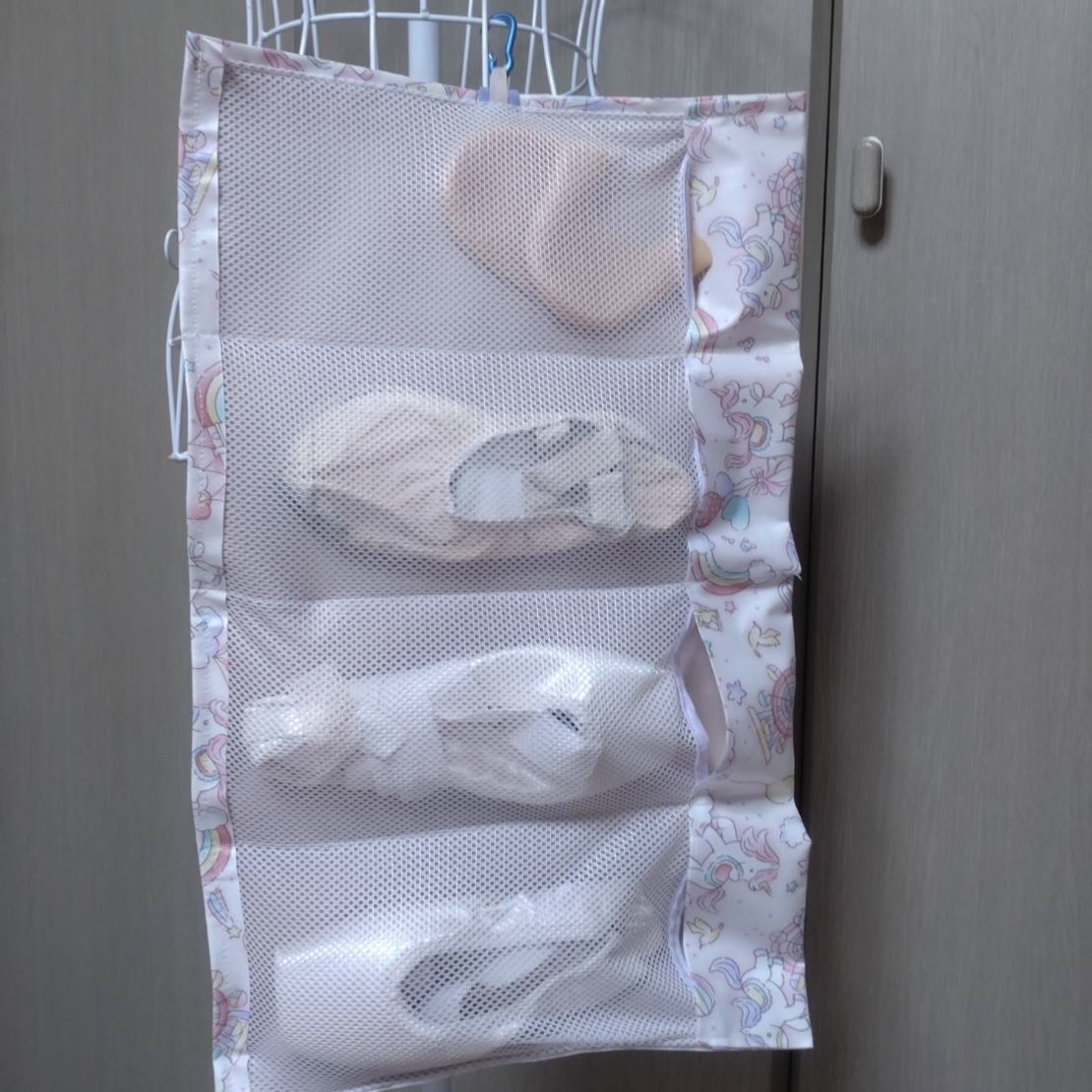 Pointe Shoes Case_Sugar Wonderland