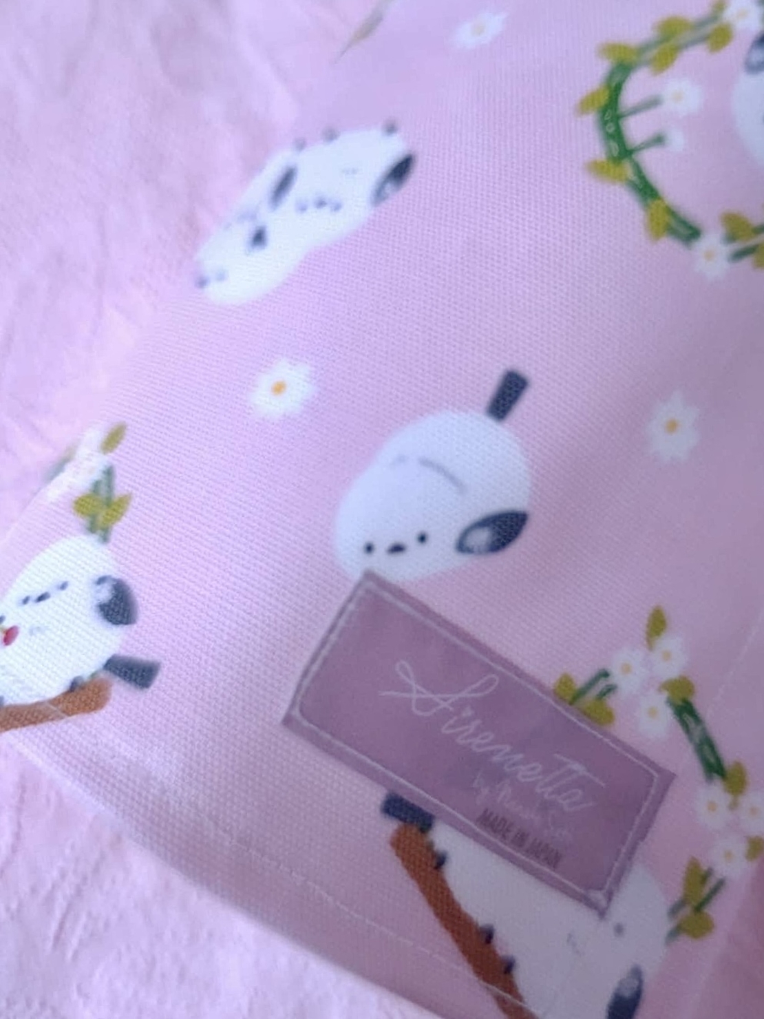 Pointe Shoes Case_Baby Bird