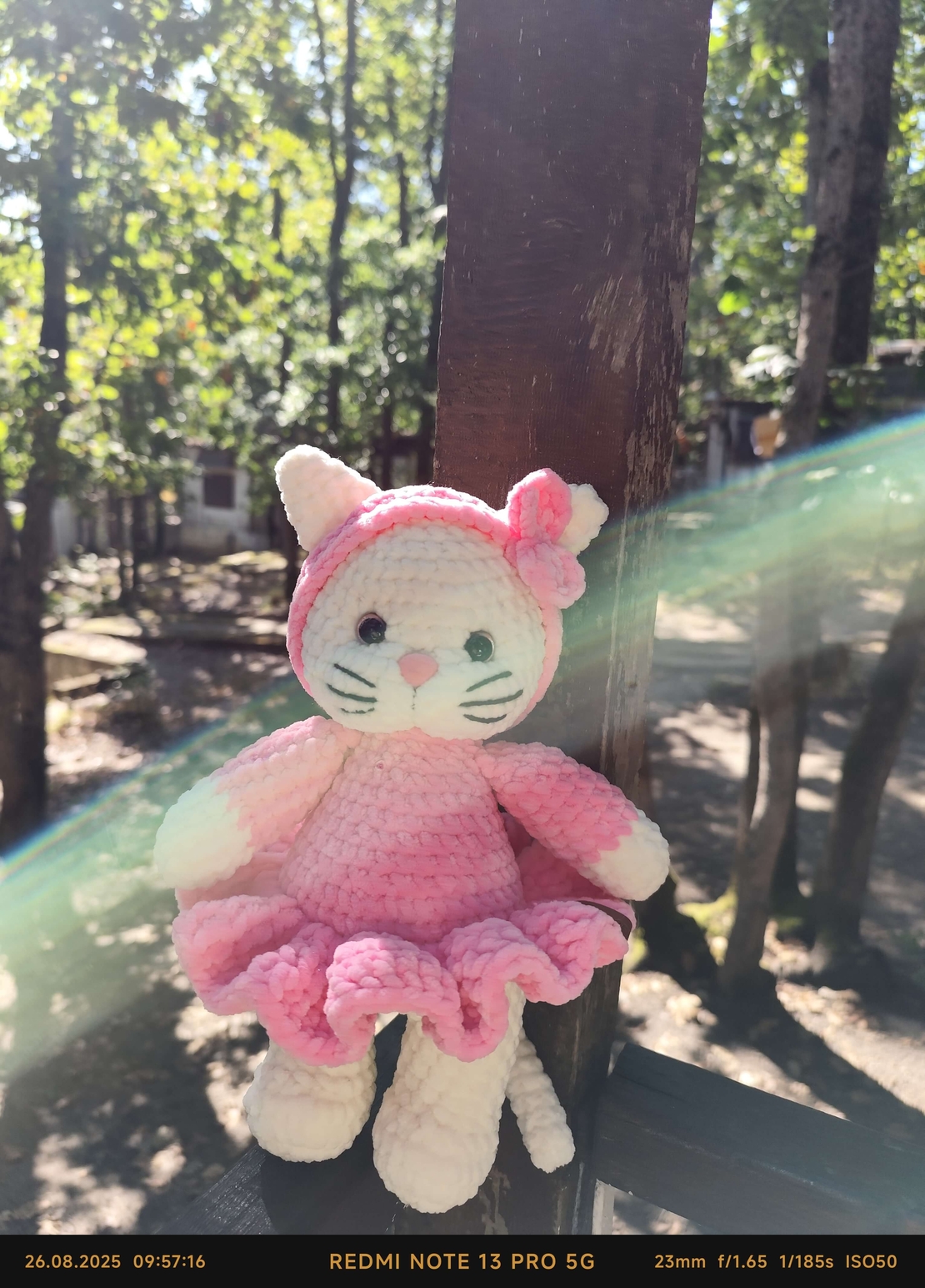 Коте